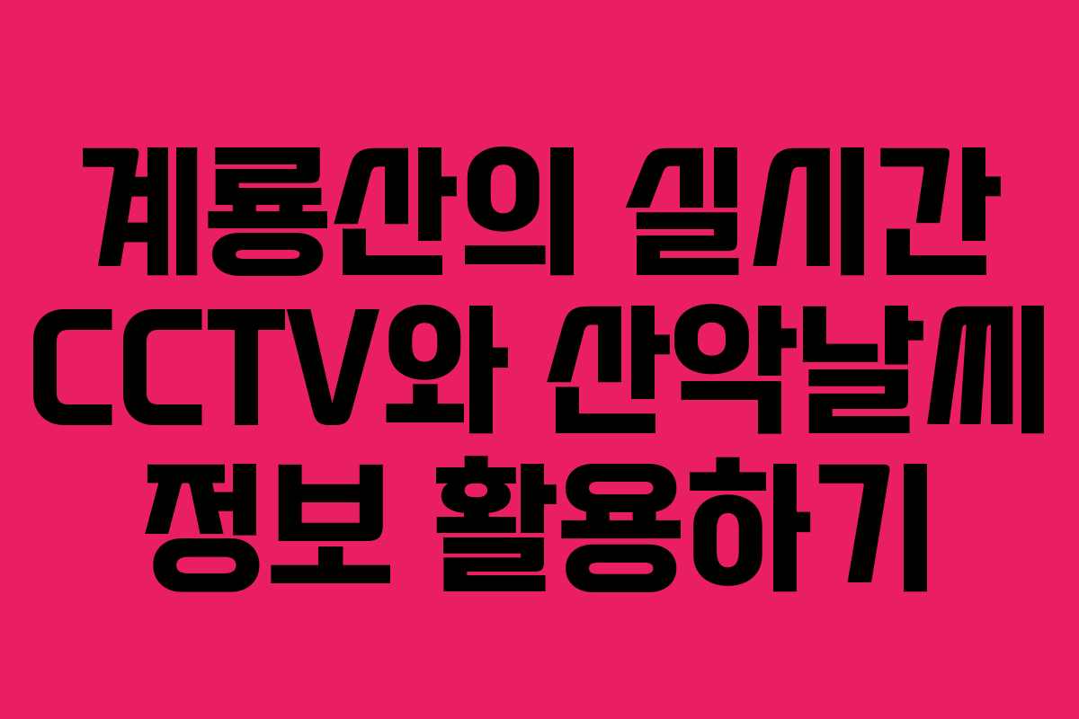 계룡산의 실시간 CCTV와 산악날씨 정보 활용하기