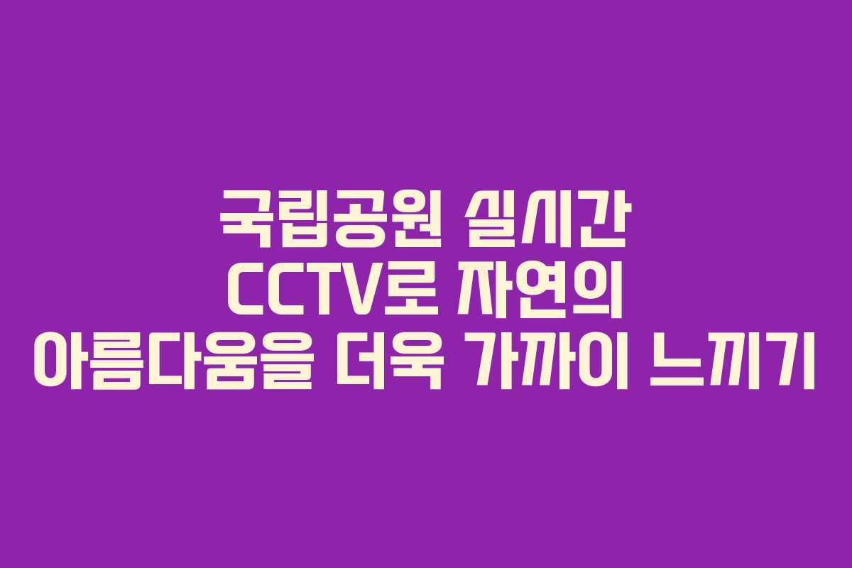 국립공원 실시간 CCTV로 자연의 아름다움을 더욱 가까이 느끼기