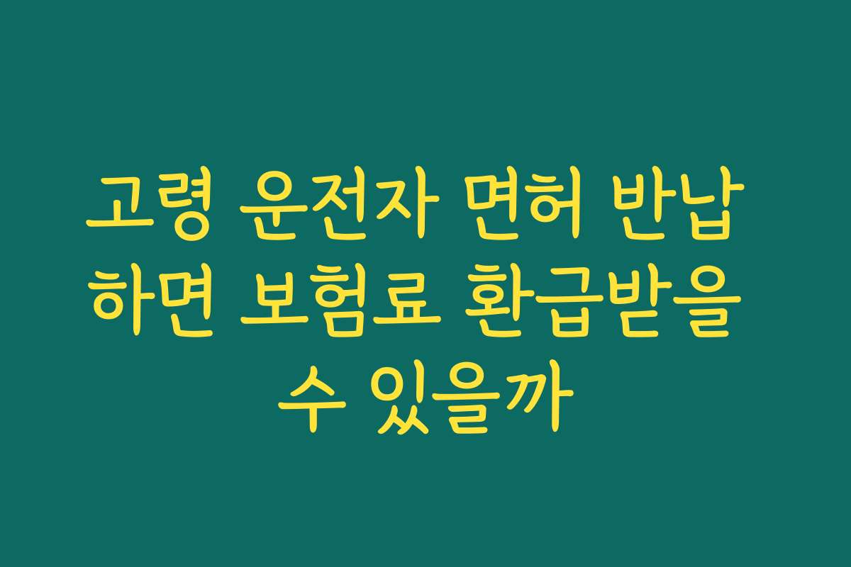 고령 운전자 면허 반납 하면 보험료 환급받을 수 있을까