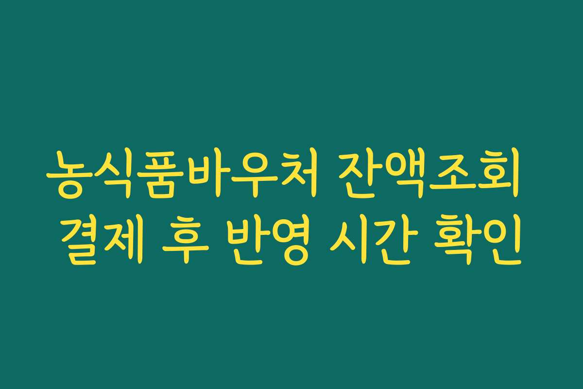 농식품바우처 잔액조회 결제 후 반영 시간 확인