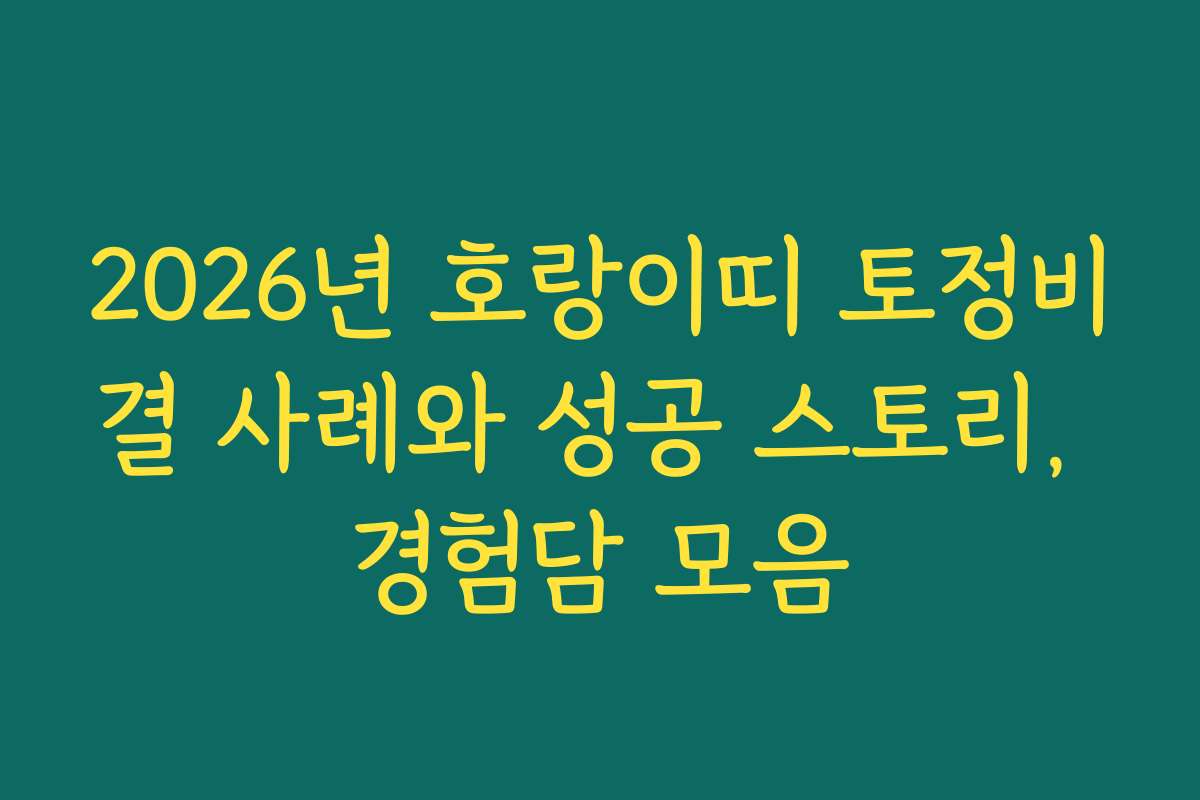 2026년 호랑이띠 토정비결 사례와 성공 스토리, 경험담 모음