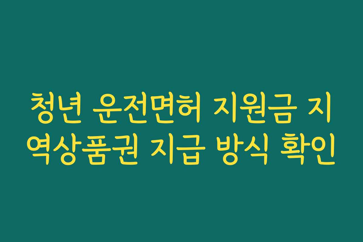 청년 운전면허 지원금 지역상품권 지급 방식 확인