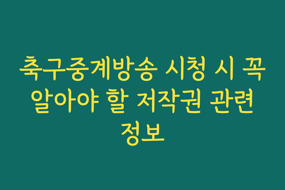 축구중계방송 시청 시 꼭 알아야 할 저작권 관련 정보