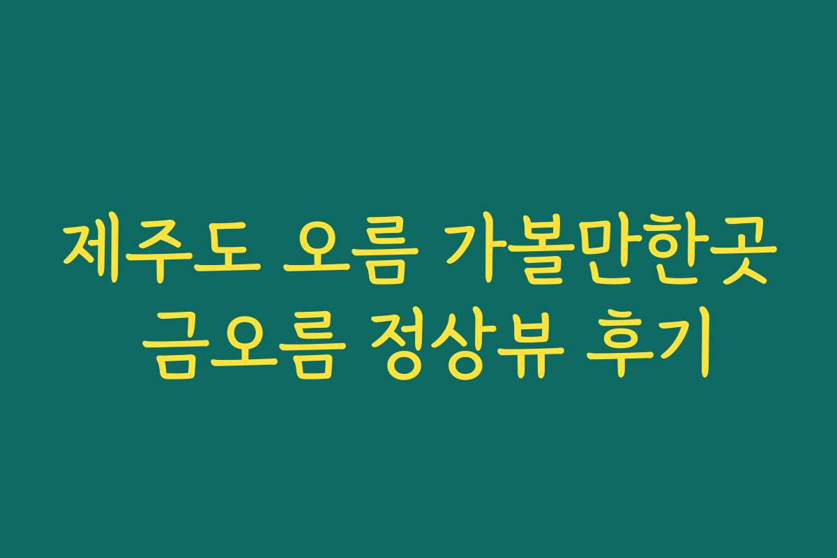 제주도 오름 가볼만한곳 금오름 정상뷰 후기
