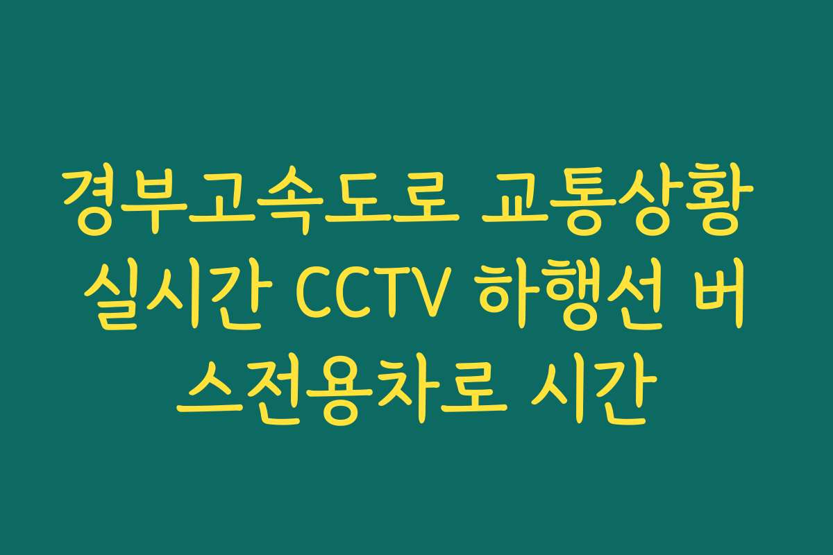 경부고속도로 교통상황 실시간 CCTV 하행선 버스전용차로 시간