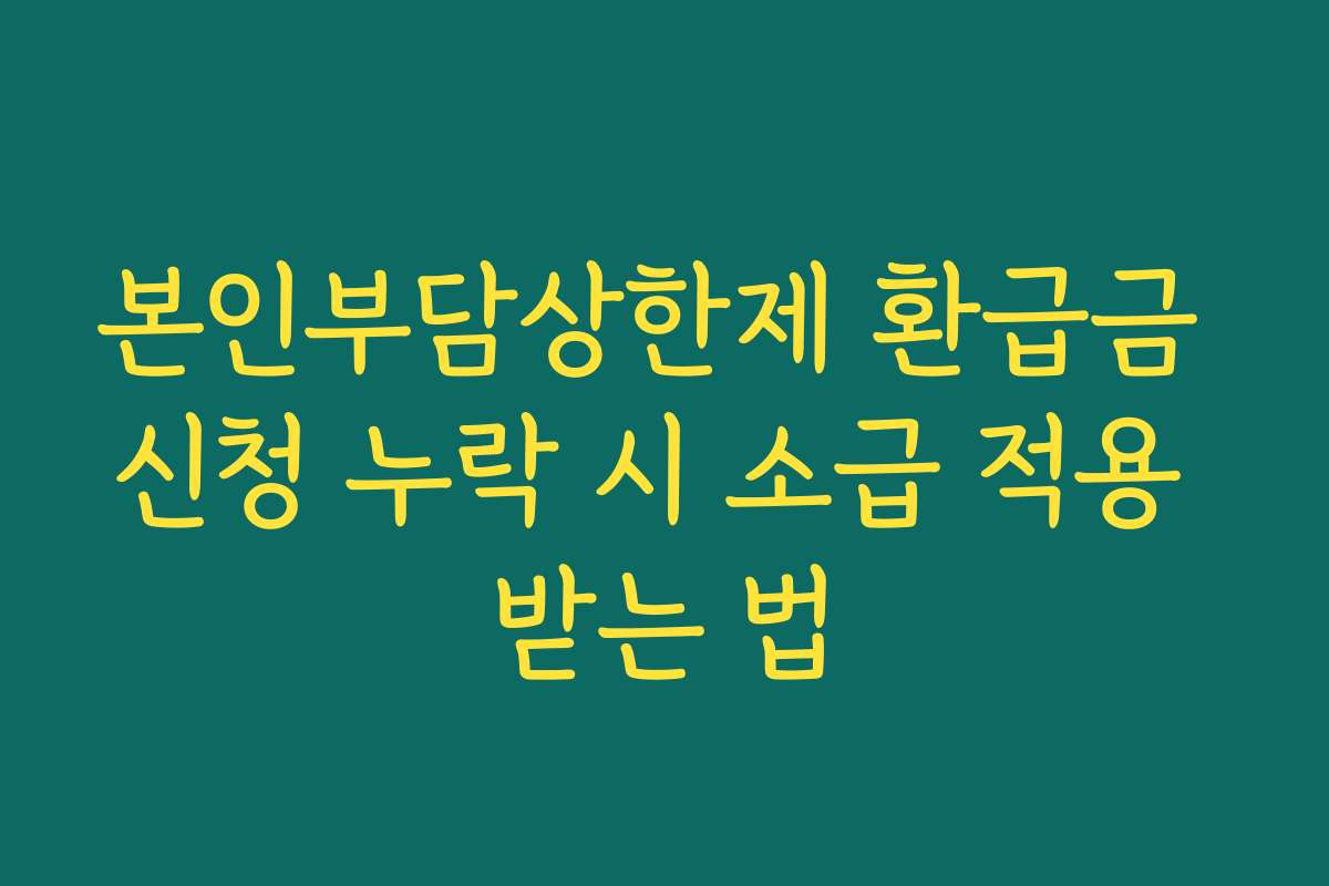 본인부담상한제 환급금 신청 누락 시 소급 적용 받는 법