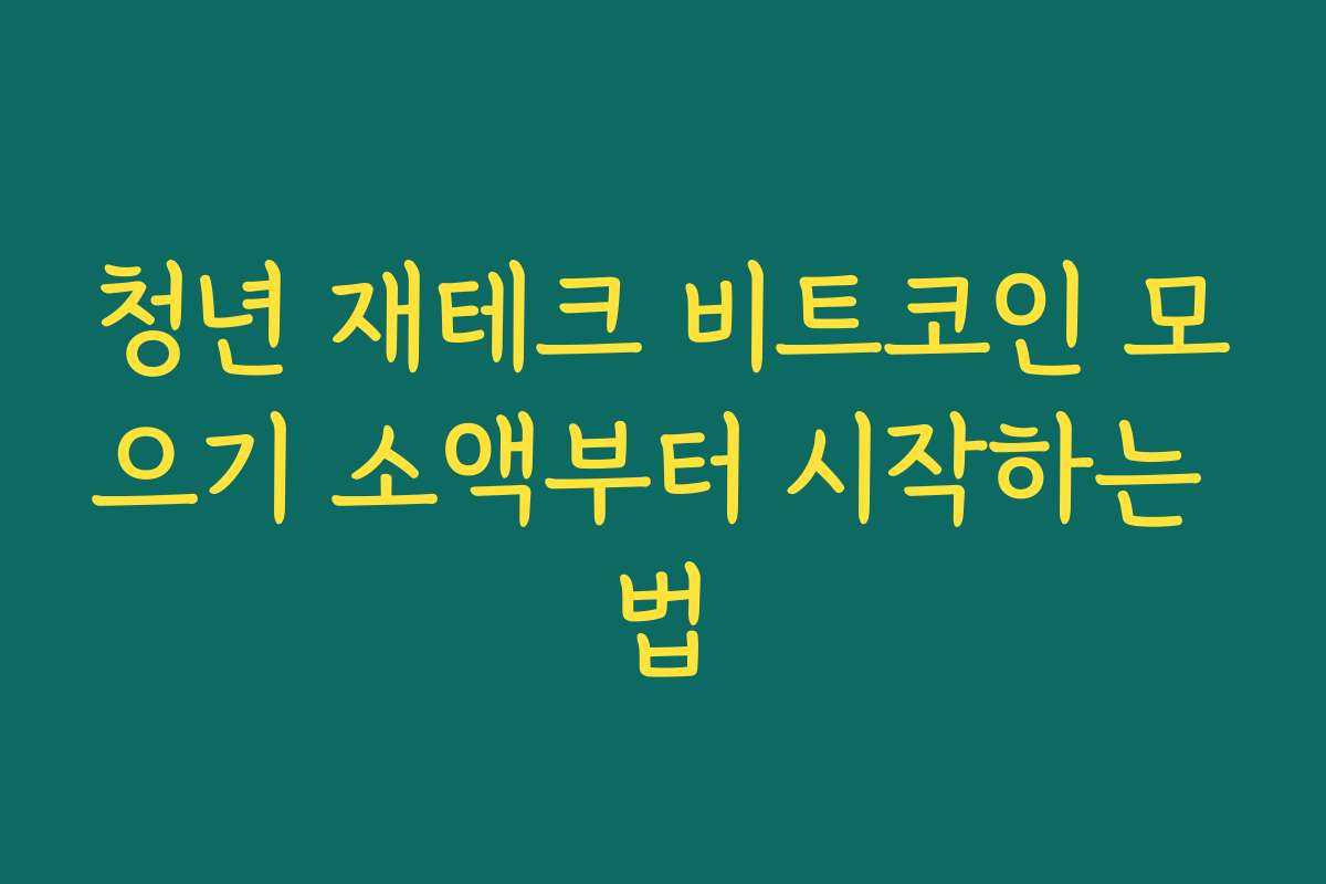 청년 재테크 비트코인 모으기 소액부터 시작하는 법