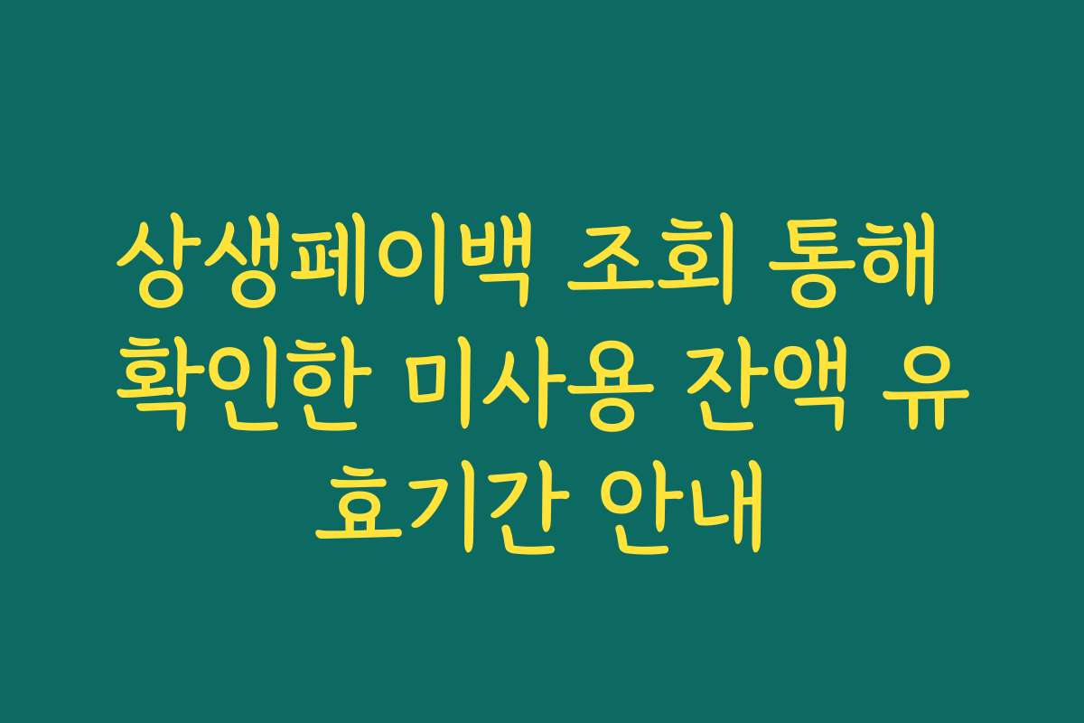 상생페이백 조회 통해 확인한 미사용 잔액 유효기간 안내