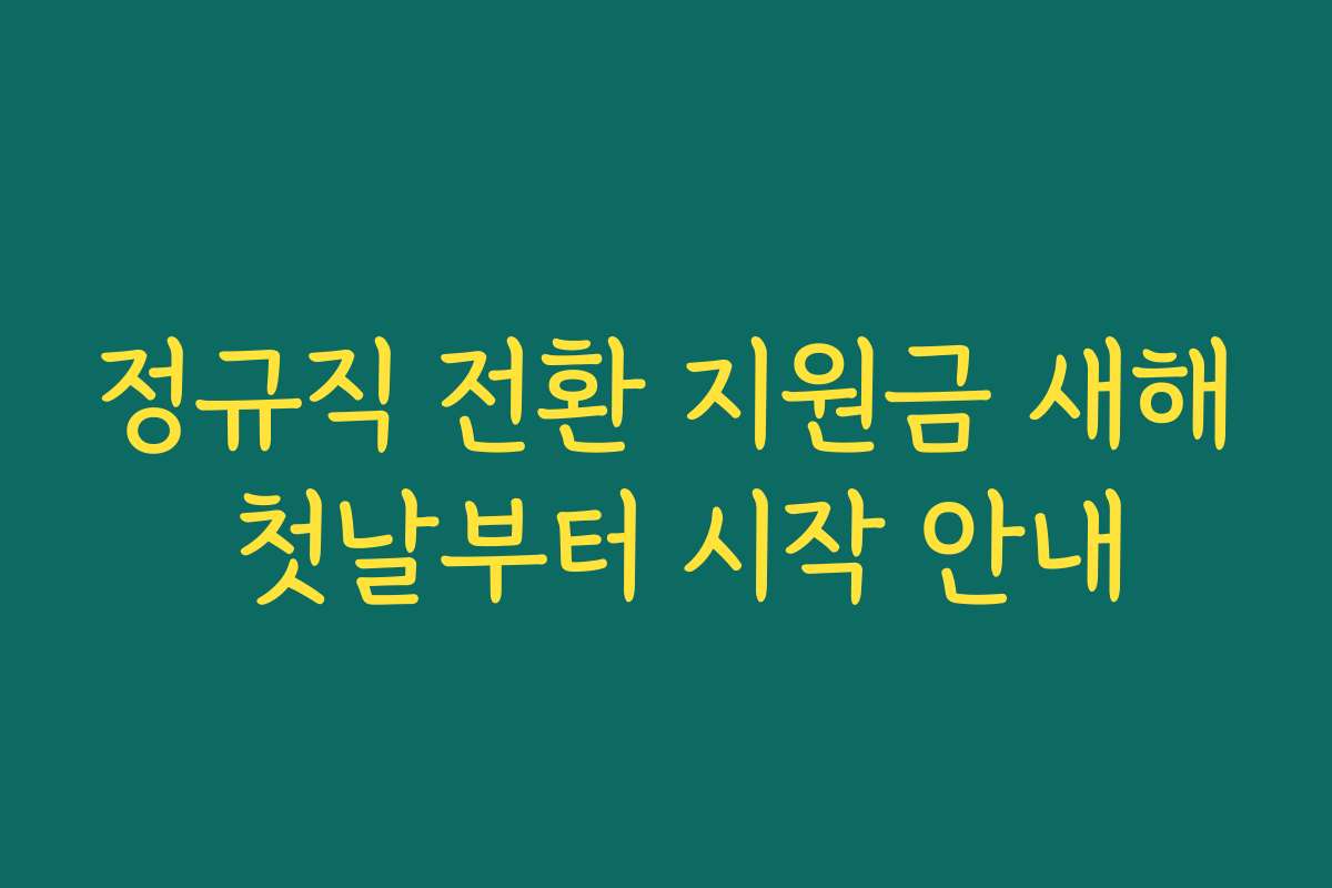 정규직 전환 지원금 새해 첫날부터 시작 안내