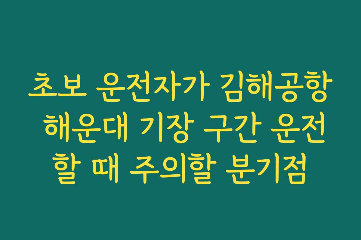 초보 운전자가 김해공항 해운대 기장 구간 운전할 때 주의할 분기점