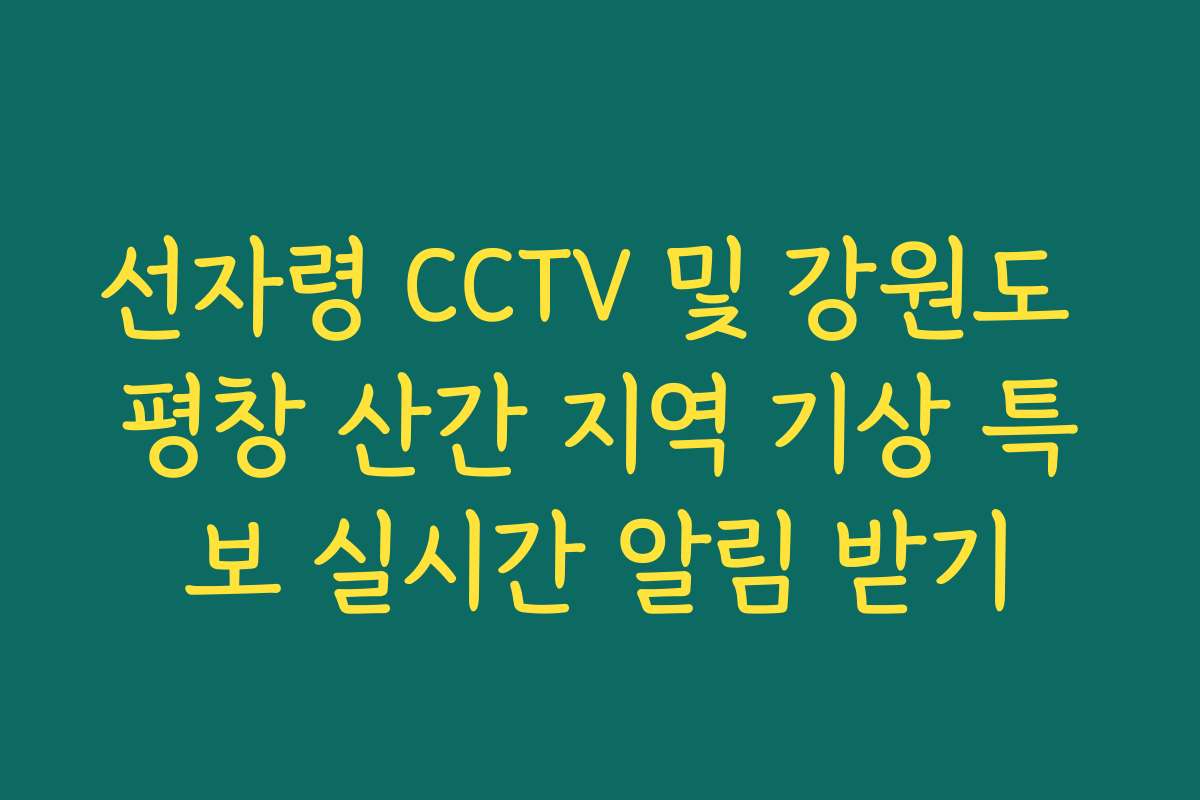 선자령 CCTV 및 강원도 평창 산간 지역 기상 특보 실시간 알림 받기