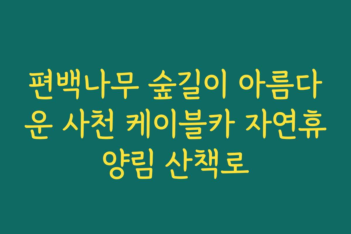 편백나무 숲길이 아름다운 사천 케이블카 자연휴양림 산책로