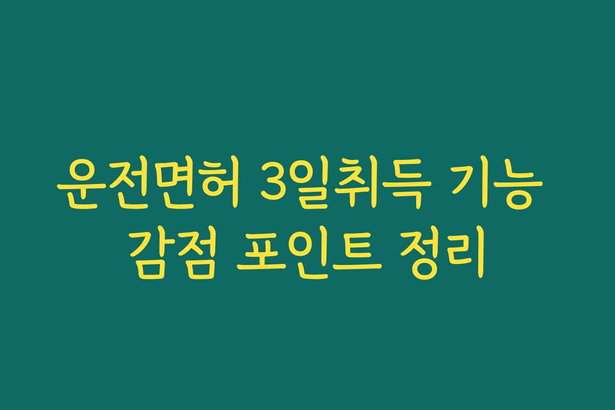 운전면허 3일취득 기능 감점 포인트 정리