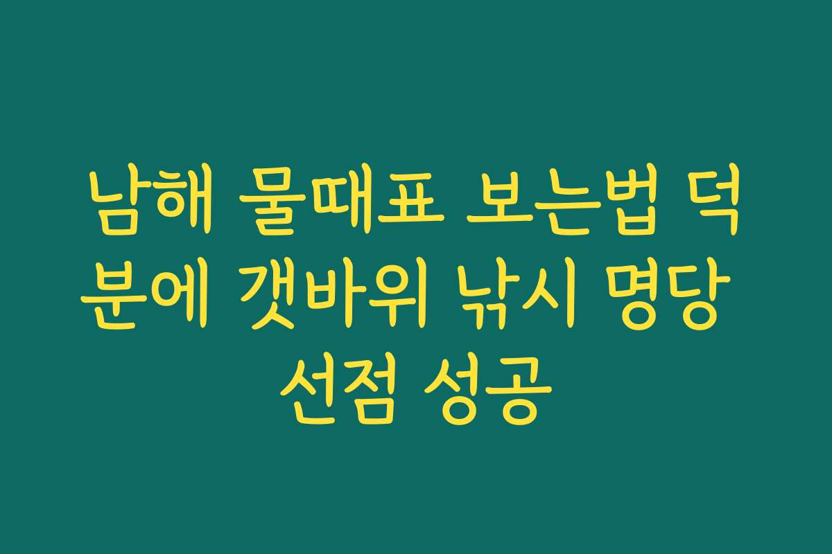 남해 물때표 보는법 덕분에 갯바위 낚시 명당 선점 성공