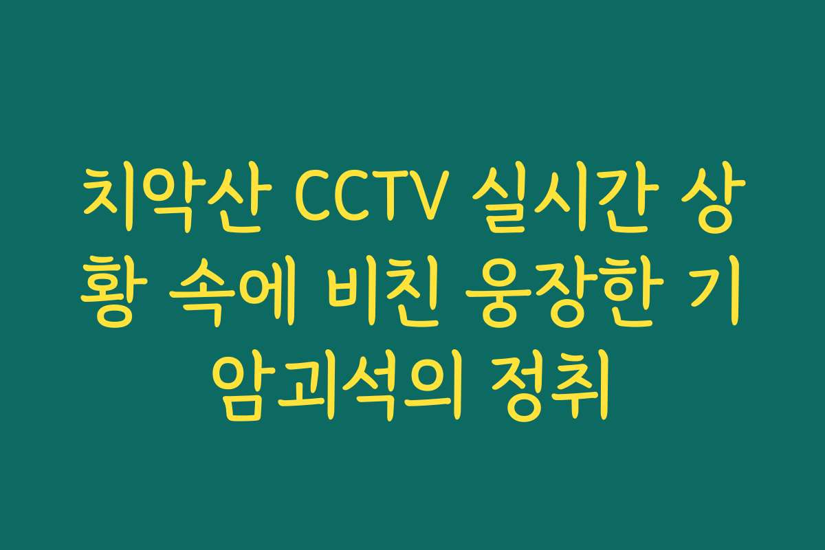 치악산 CCTV 실시간 상황 속에 비친 웅장한 기암괴석의 정취