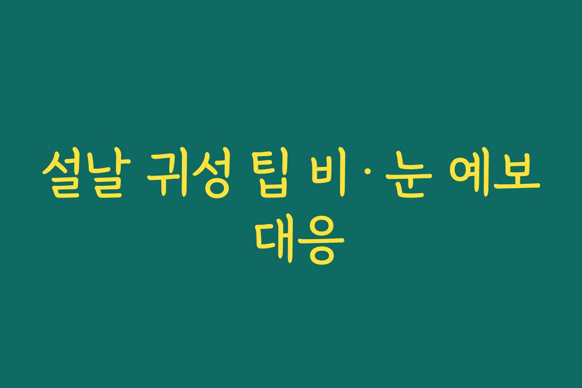 설날 귀성 팁 비·눈 예보 대응
