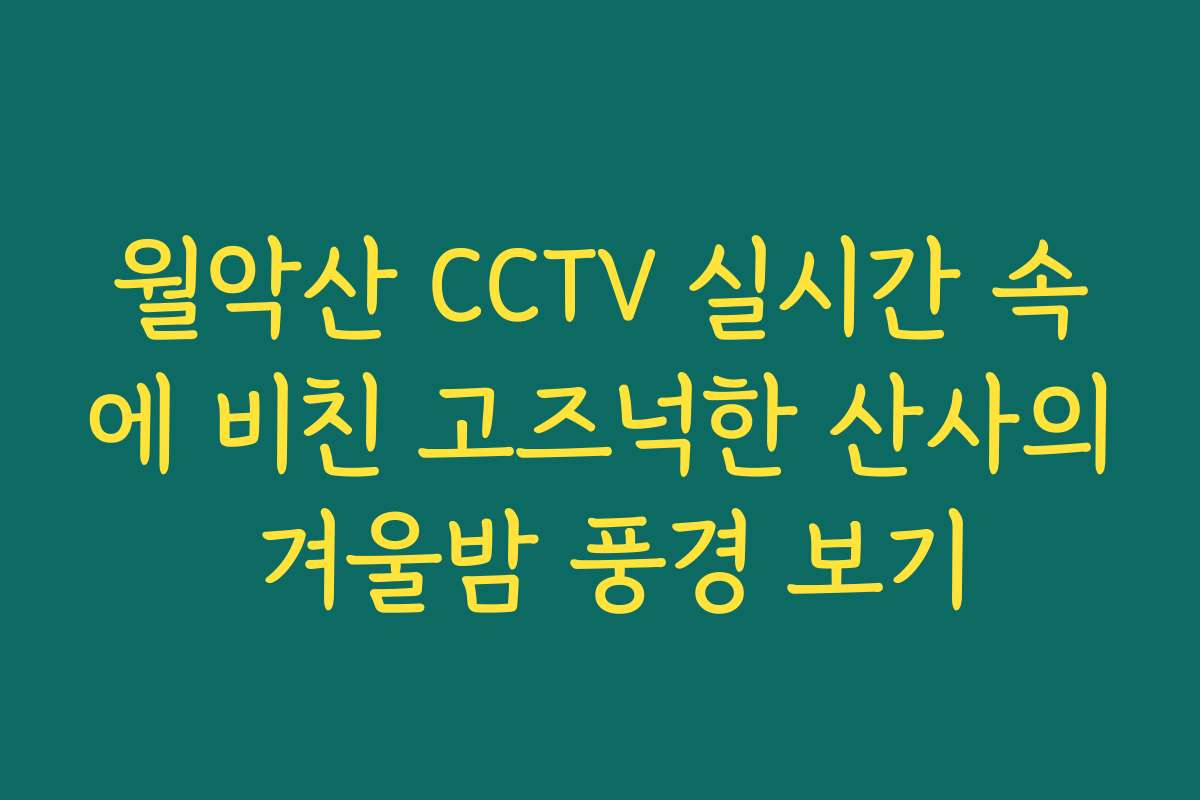 월악산 CCTV 실시간 속에 비친 고즈넉한 산사의 겨울밤 풍경 보기
