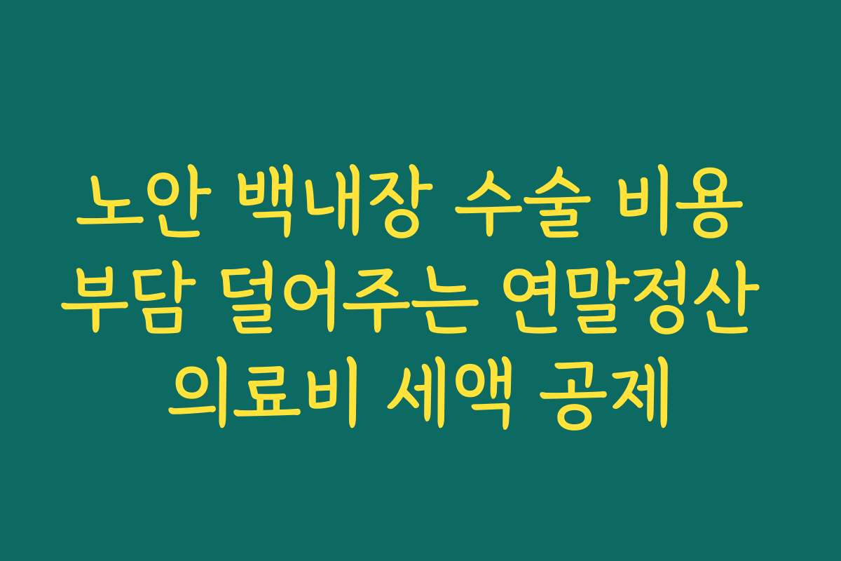 노안 백내장 수술 비용 부담 덜어주는 연말정산 의료비 세액 공제