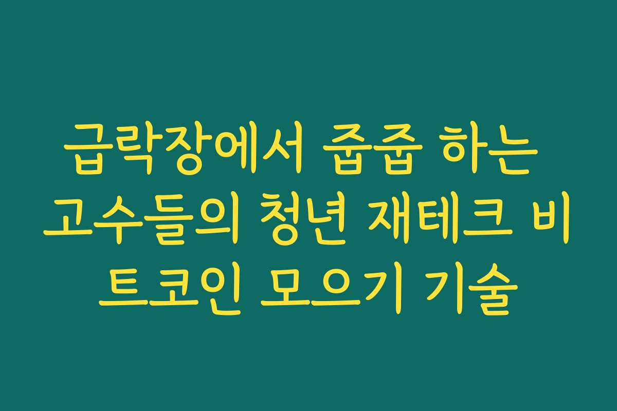 급락장에서 줍줍 하는 고수들의 청년 재테크 비트코인 모으기 기술