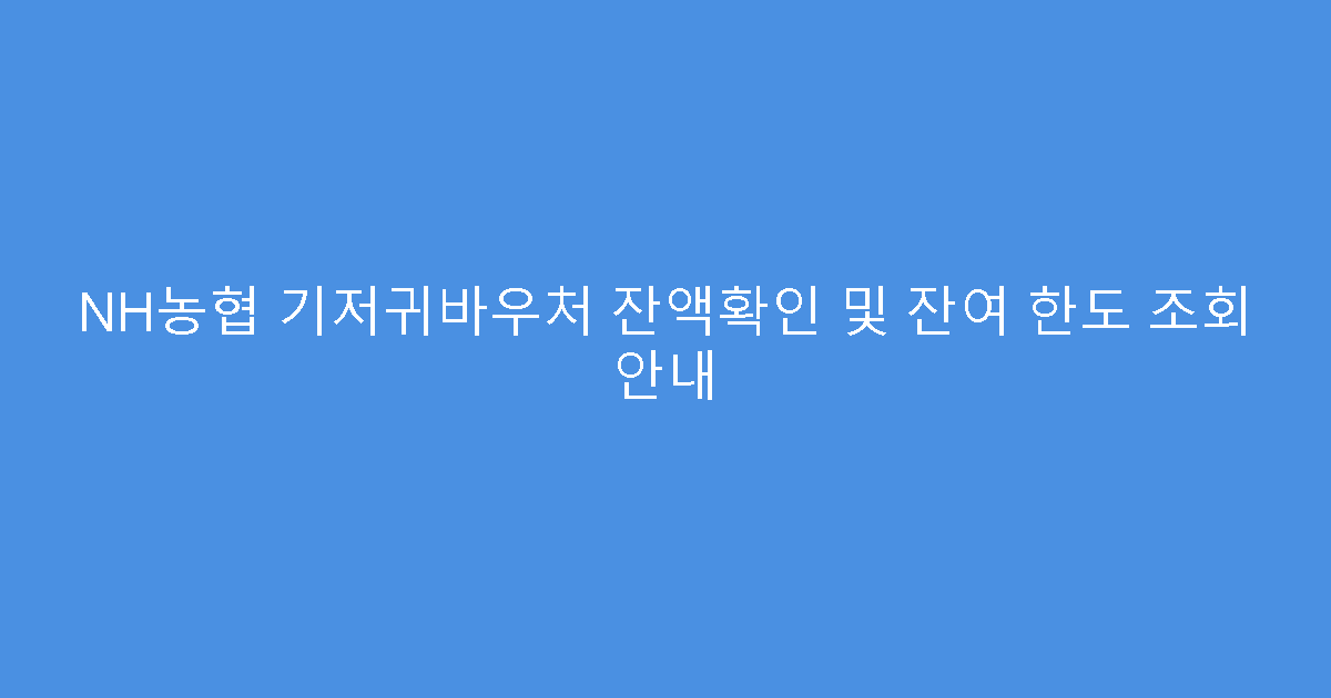 NH농협 기저귀바우처 잔액확인 및 잔여 한도 조회 안내