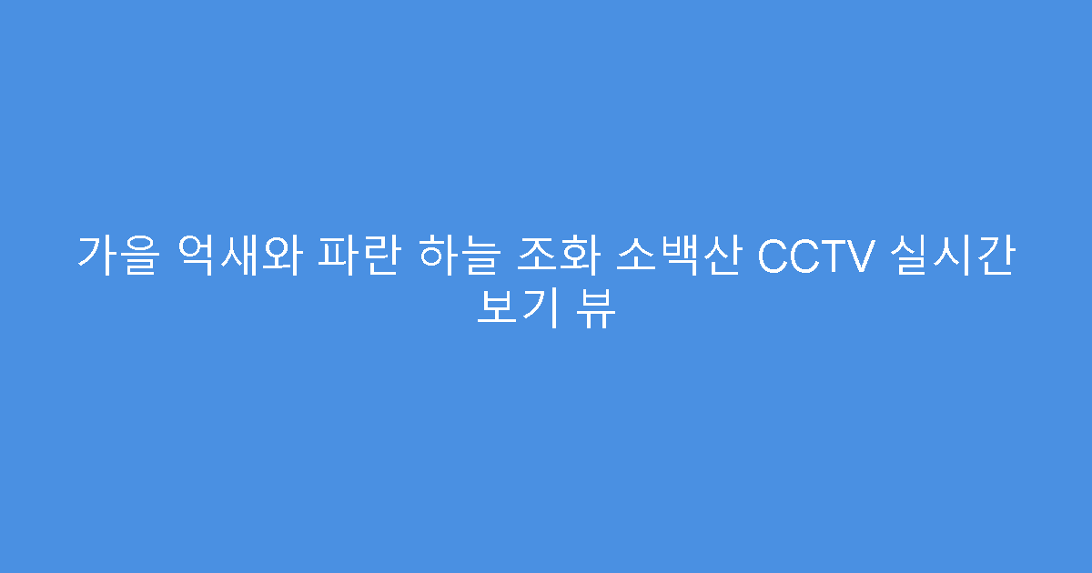 가을 억새와 파란 하늘 조화 소백산 CCTV 실시간 보기 뷰