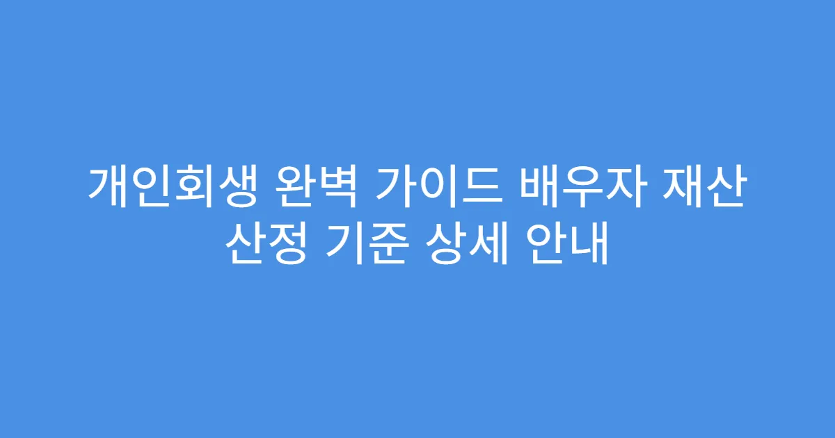 개인회생 완벽 가이드 배우자 재산 산정 기준 상세 안내