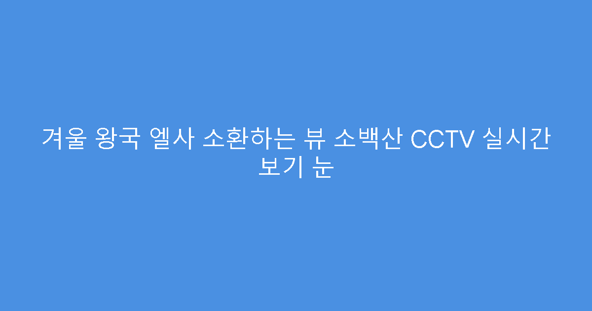 겨울 왕국 엘사 소환하는 뷰 소백산 CCTV 실시간 보기 눈
