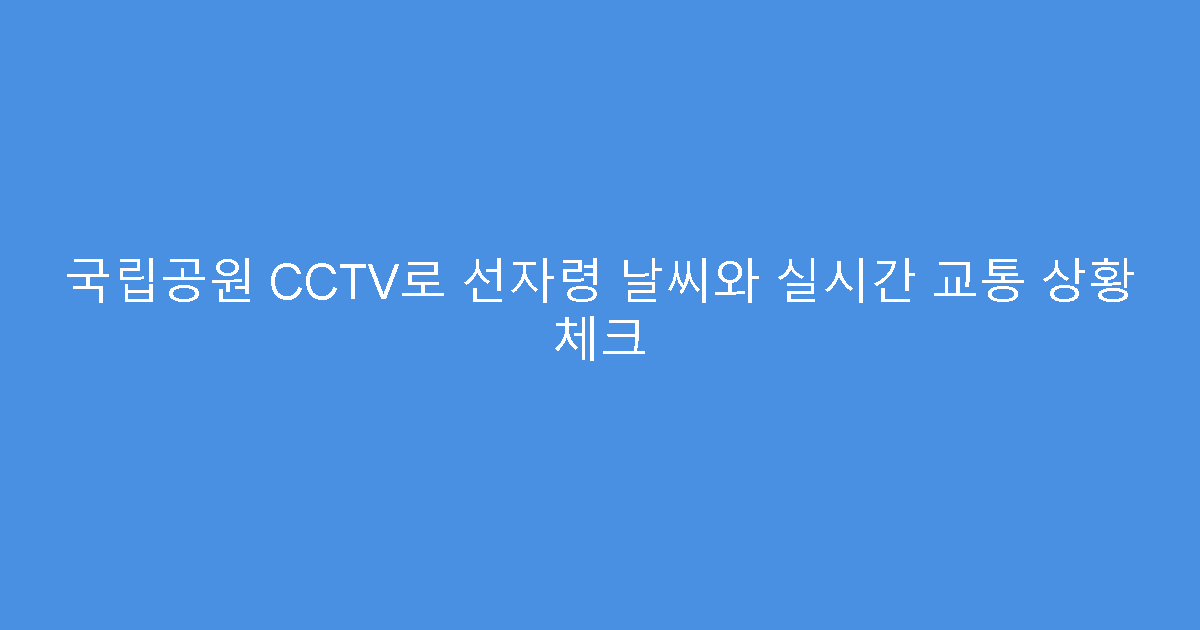 국립공원 CCTV로 선자령 날씨와 실시간 교통 상황 체크