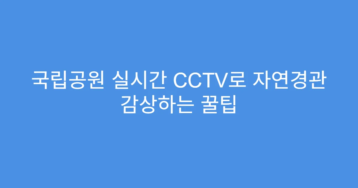 국립공원 실시간 CCTV로 자연경관 감상하는 꿀팁