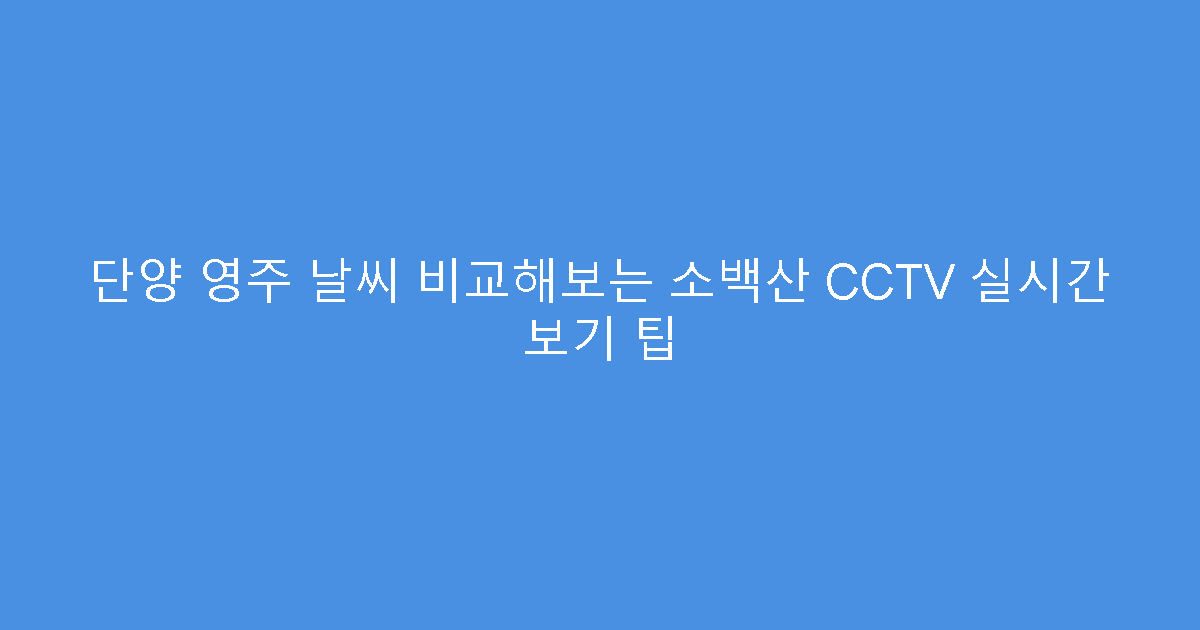 단양 영주 날씨 비교해보는 소백산 CCTV 실시간 보기 팁