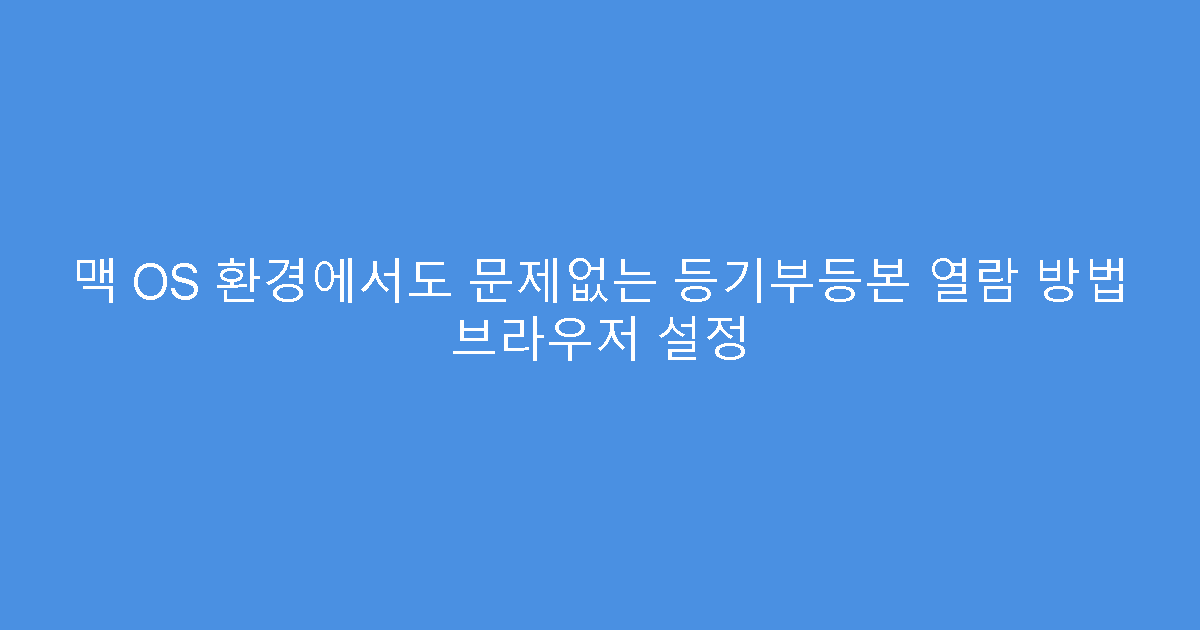 맥 OS 환경에서도 문제없는 등기부등본 열람 방법 브라우저 설정