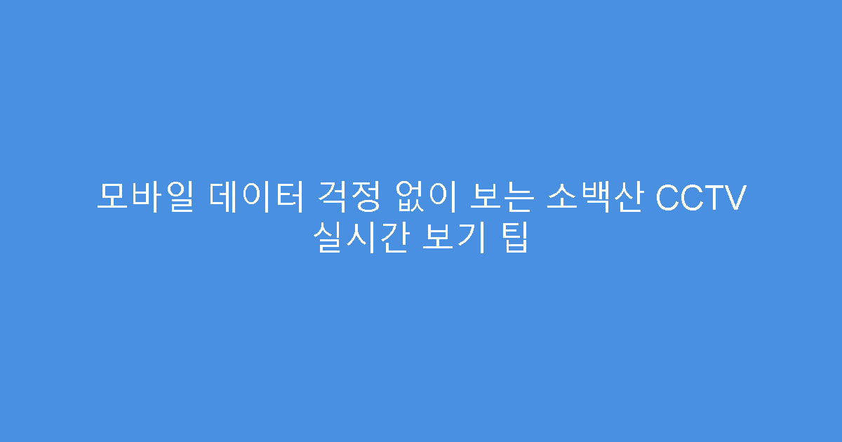 모바일 데이터 걱정 없이 보는 소백산 CCTV 실시간 보기 팁