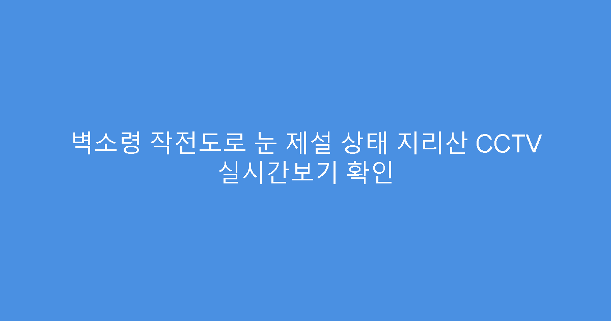 벽소령 작전도로 눈 제설 상태 지리산 CCTV 실시간보기 확인