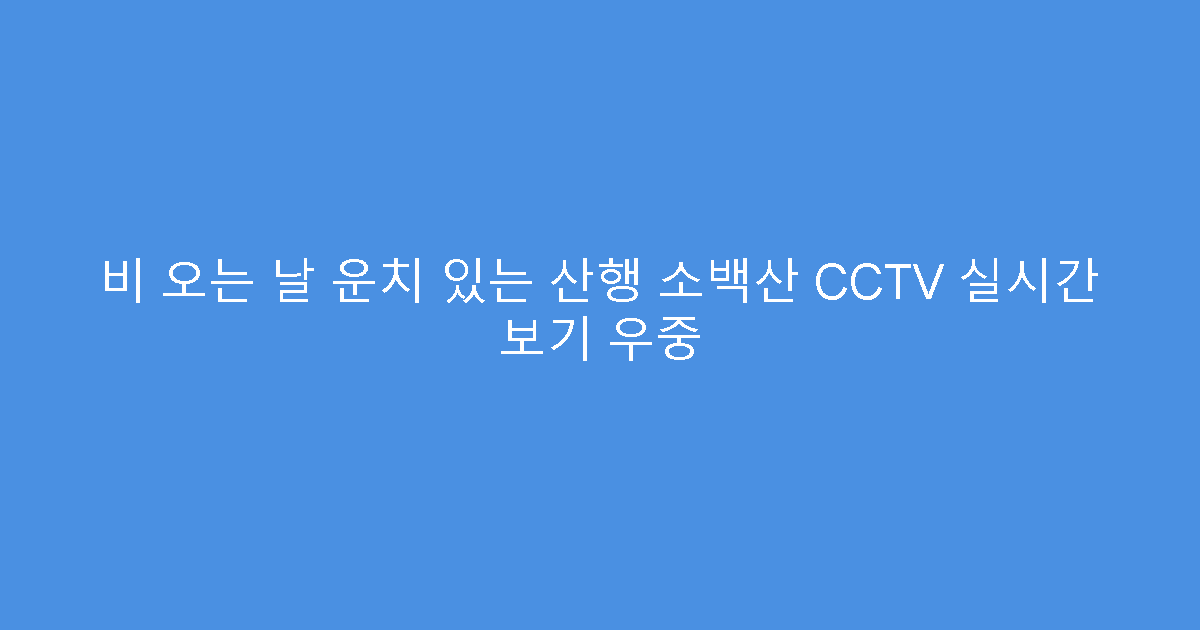 비 오는 날 운치 있는 산행 소백산 CCTV 실시간 보기 우중