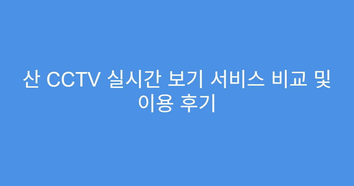 산 CCTV 실시간 보기 서비스 비교 및 이용 후기