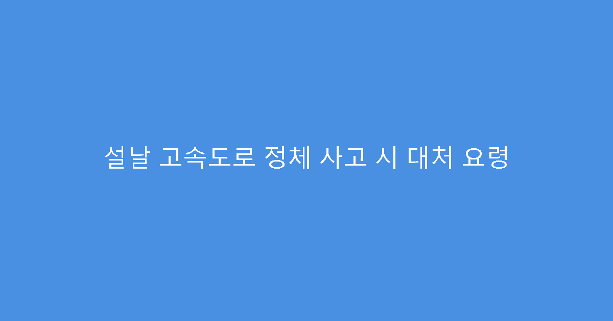 설날 고속도로 정체 사고 시 대처 요령
