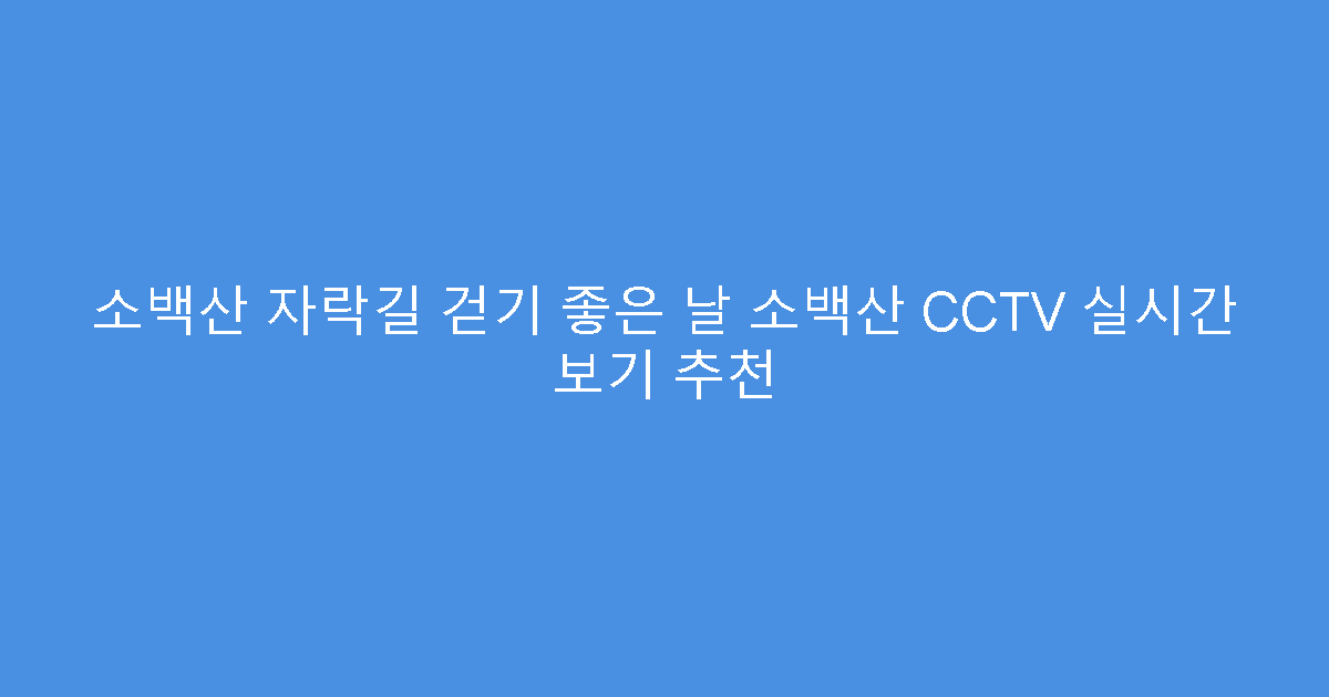 소백산 자락길 걷기 좋은 날 소백산 CCTV 실시간 보기 추천