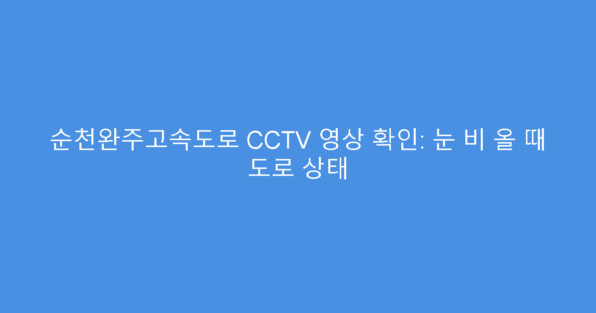 순천완주고속도로 CCTV 영상 확인: 눈 비 올 때 도로 상태
