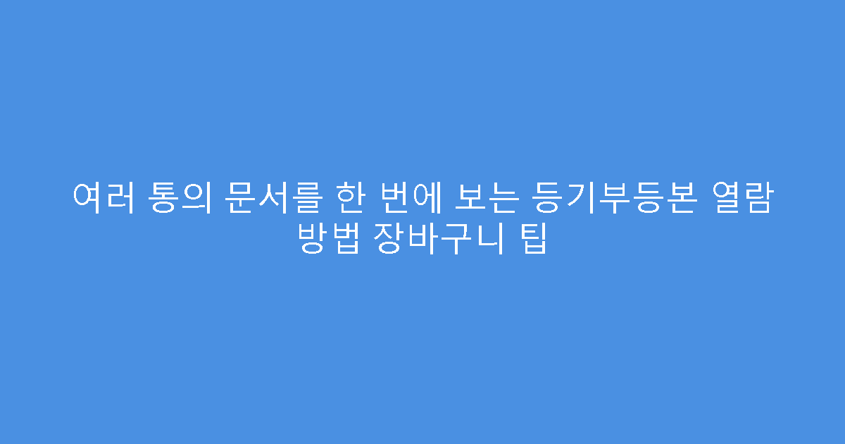 여러 통의 문서를 한 번에 보는 등기부등본 열람 방법 장바구니 팁