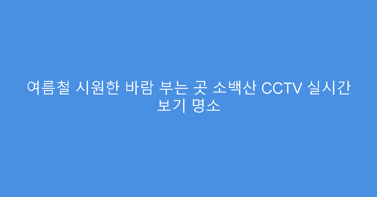 여름철 시원한 바람 부는 곳 소백산 CCTV 실시간 보기 명소
