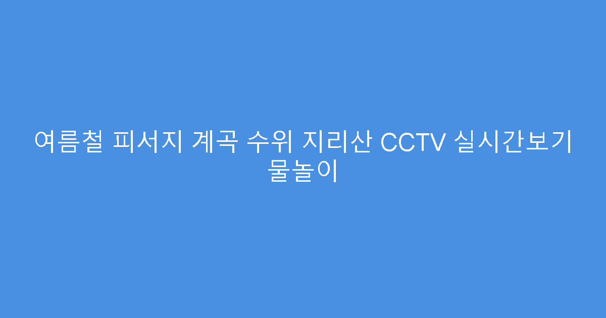 여름철 피서지 계곡 수위 지리산 CCTV 실시간보기 물놀이