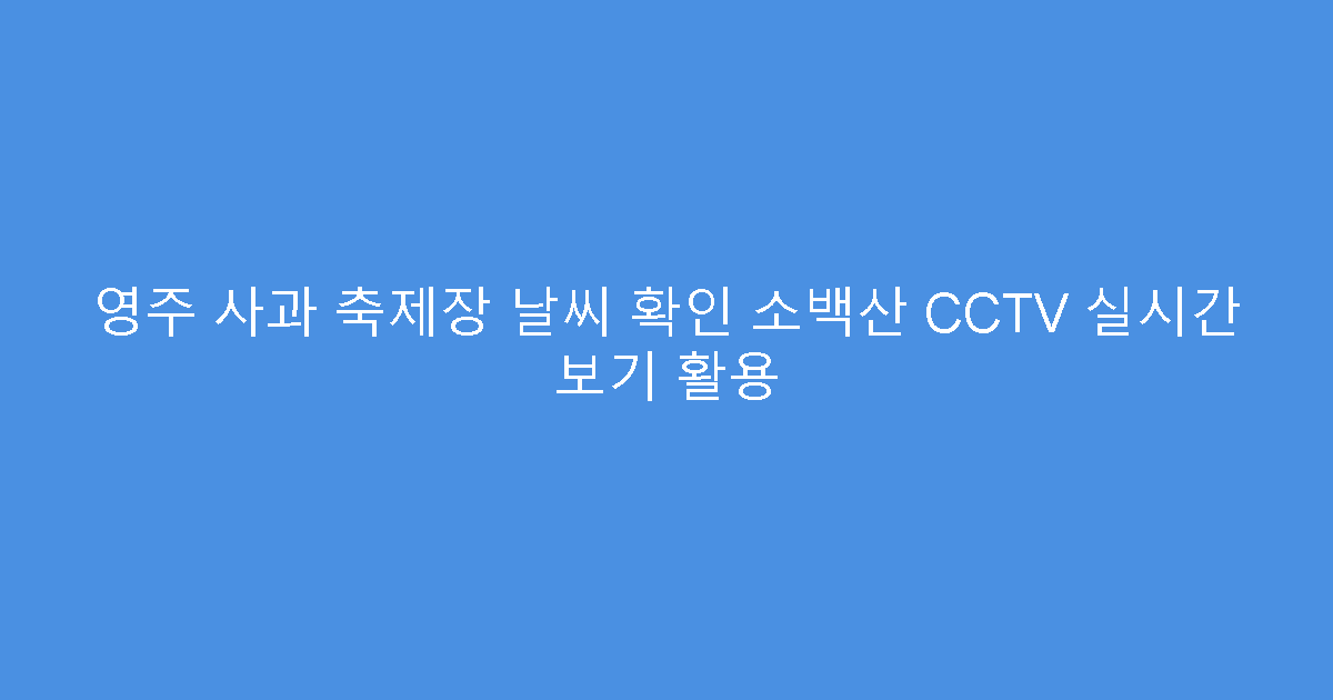 영주 사과 축제장 날씨 확인 소백산 CCTV 실시간 보기 활용