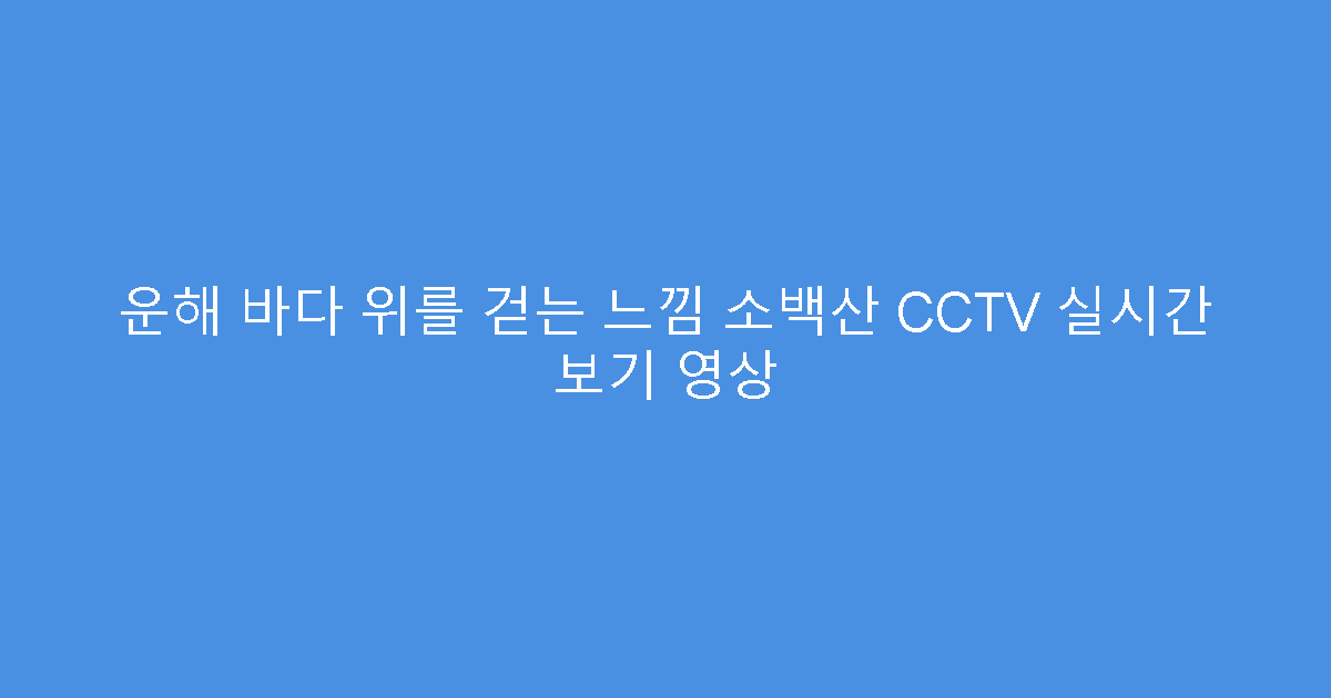 운해 바다 위를 걷는 느낌 소백산 CCTV 실시간 보기 영상