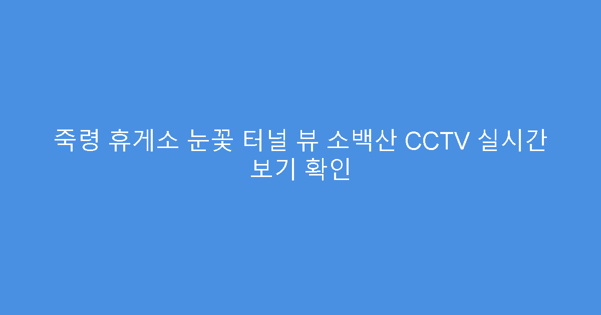 죽령 휴게소 눈꽃 터널 뷰 소백산 CCTV 실시간 보기 확인