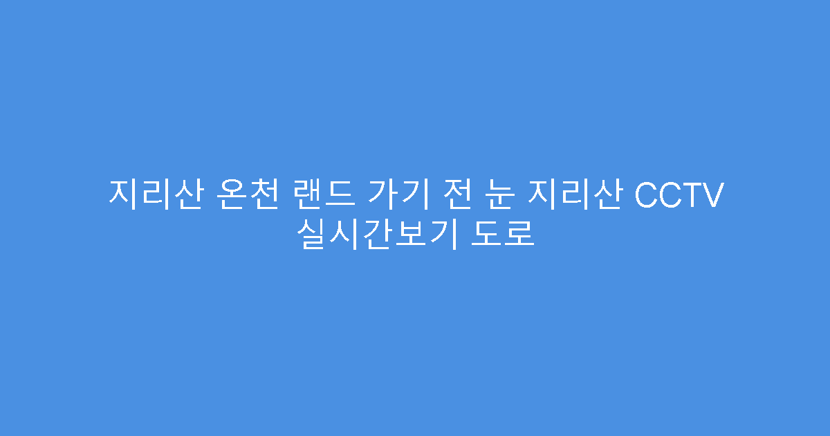 지리산 온천 랜드 가기 전 눈 지리산 CCTV 실시간보기 도로