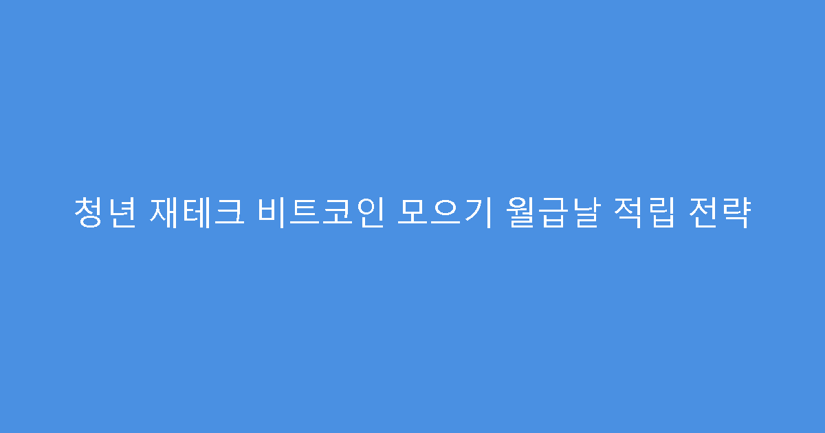 청년 재테크 비트코인 모으기 월급날 적립 전략