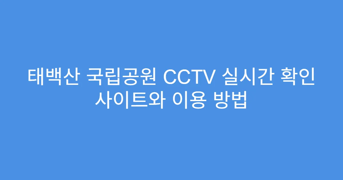 태백산 국립공원 CCTV 실시간 확인 사이트와 이용 방법