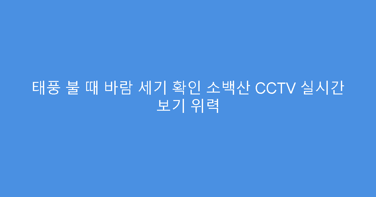 태풍 불 때 바람 세기 확인 소백산 CCTV 실시간 보기 위력
