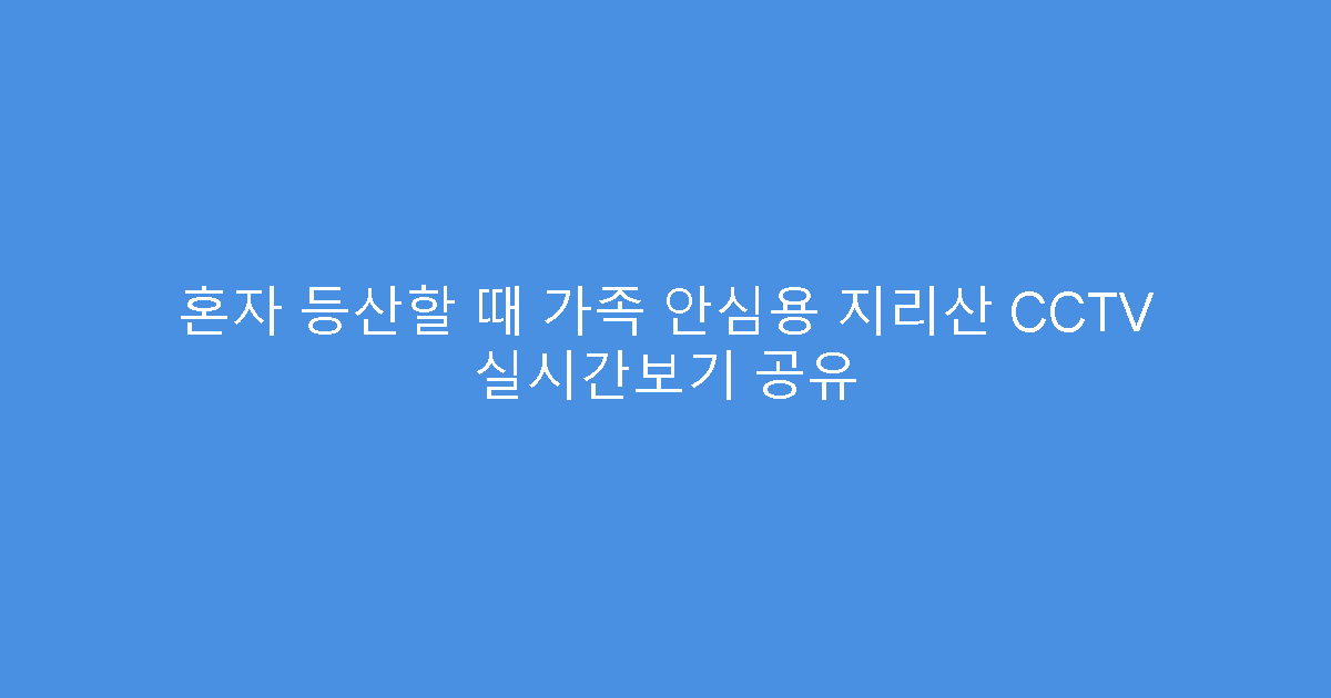 혼자 등산할 때 가족 안심용 지리산 CCTV 실시간보기 공유