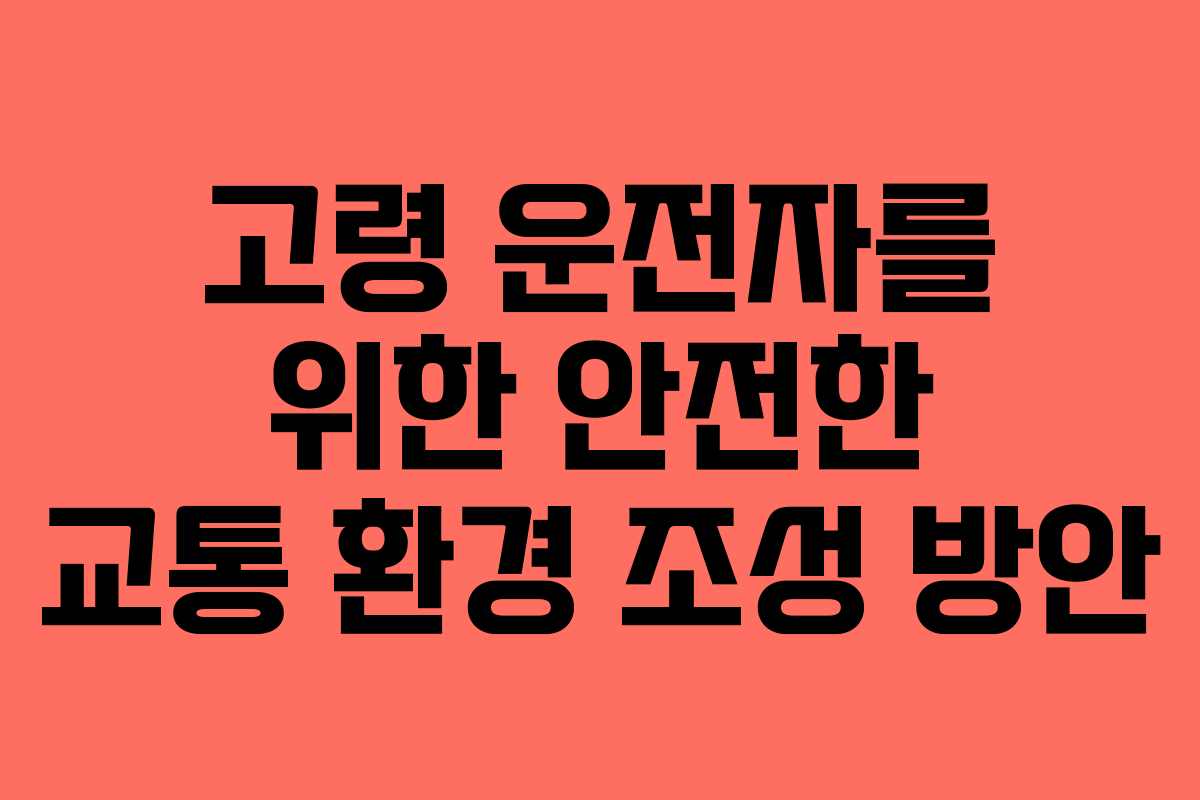 고령 운전자를 위한 안전한 교통 환경 조성 방안